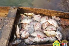 Operação Lobo Bravo da Polícia Ambiental prende quatro pessoas e apreende materiais de pesca e de caça nos Campos Gerais