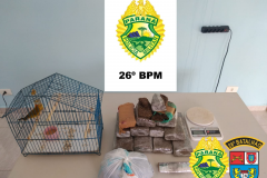 PM apreende mais de 6,4 quilos de maconha em situações distintas nos Campos Gerais do estado