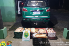 Carga de palmito escondida em caixas de bananas é localizada pela Polícia Ambiental em Guaraqueçaba (PR)