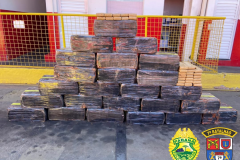 Meia tonelada de maconha e produtos contrabandeados são apreendidos pela PM no Noroeste do estado