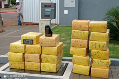 Mais de meia tonelada de maconha é apreendida pela ROTAM em Ouro Verde do Oeste (PR)