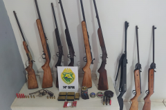 PM apreende mais de 500 munições e sete armas de fogo no Oeste do estado