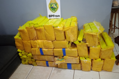 BPFRON apreende quase meia tonelada de maconha em São Miguel do Iguaçu (PR)
