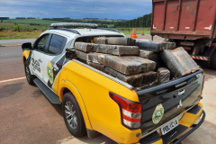 Quase uma tonelada de maconha é apreendida pelo BPRv em Iporã (PR)