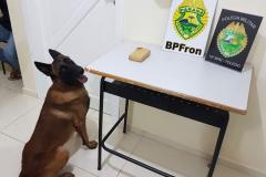 BPFron apreende porção de maconha e conduz dois homens, um deles com mandados em aberto no Oeste do estado