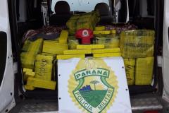 Quase 800 quilos de maconha são apreendidos em abordagem na PR 182, no Sudoeste do estado