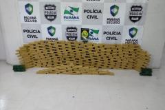 BOPE apreende 147 quilos de maconha em Curitiba e na RMC; um suspeito é preso