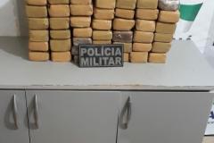 PM aborda chácara e apreende mais de 30 quilos de maconha em Cascavel (PR), no Oeste do estado