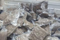 Mais de 120 quilos de maconha são apreendidos no Oeste do estado; dois carros são apreendidos