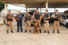 Canil da PM de Cianorte doa filhotes de Bloodhound para outras unidades da Corporação