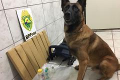 Mulher que estava com bebê de cinco meses é presa pelo BPFron com mais de nove quilos de maconha no Oeste do estado