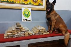 BPFron apreende quase 30 quilos de maconha, prende homem e encaminha adolescente no Oeste do estado