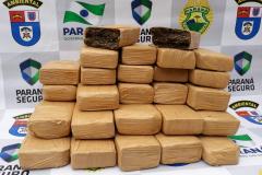 Polícia Ambiental apreende mais de 14 quilos de maconha em abordagem a ônibus no Noroeste do estado
