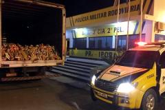 BPRv apreende caminhão com mais de meia tonelada de maconha em Iporã