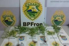 BPFron prende duas pessoas e apreende mais de dois quilos de cocaína, seis pés de maconha e dois veículos carregados com contrabando no Oeste do estado