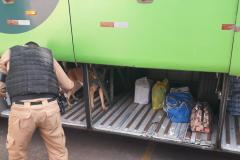 Na Fronteira, Polícia Militar apreende contrabando avaliado em R$150 mil