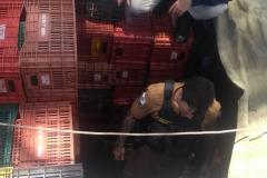 Em Cascavel, Patrulha Rural apreende 360 quilos de drogas