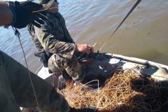 Redes de pesca e espinhéis são apreendidos pela Polícia Ambiental em Santa Helena (PR), no Oeste do estado