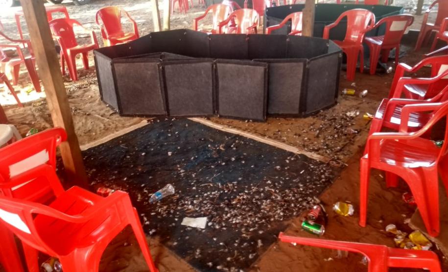 Rinha de galo é descoberta pela Polícia Ambiental em Colorado (PR); 110 aves foram apreendidas e 16 pessoas encaminhadas