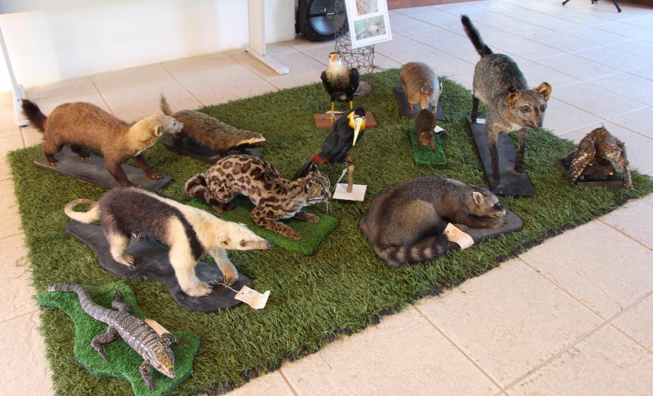 O plantio na Grande Reserva Mata Atlântica, não poderia ser mais simbólica