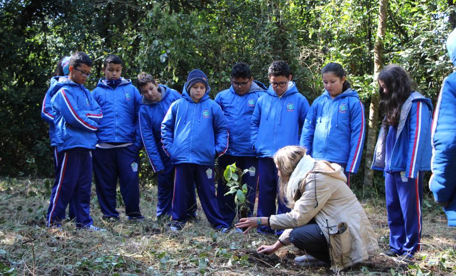 O plantio na Grande Reserva Mata Atlântica, não poderia ser mais simbólica