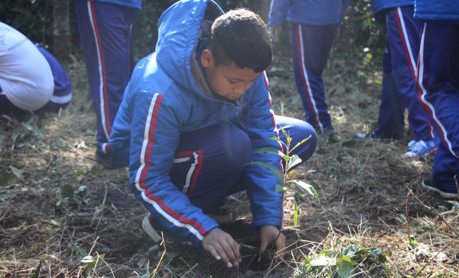 O plantio na Grande Reserva Mata Atlântica, não poderia ser mais simbólica