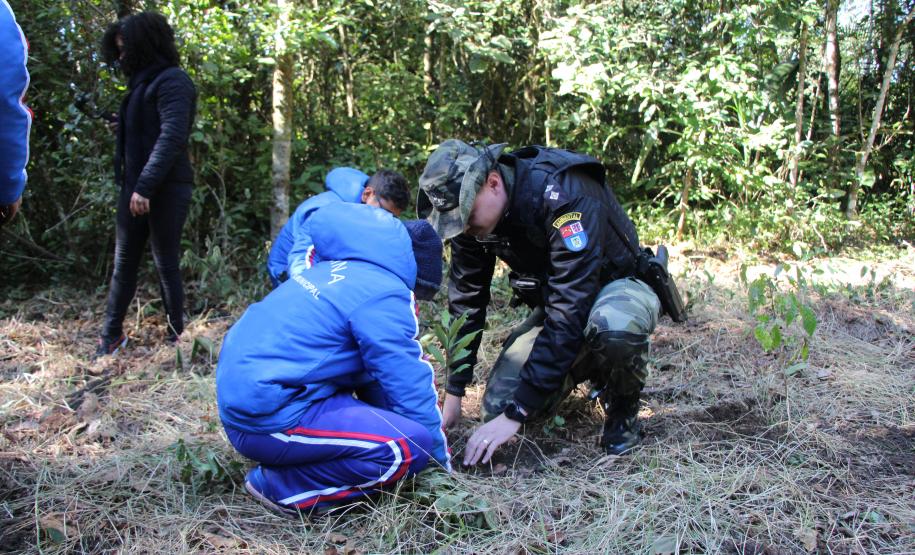 O plantio na Grande Reserva Mata Atlântica, não poderia ser mais simbólica