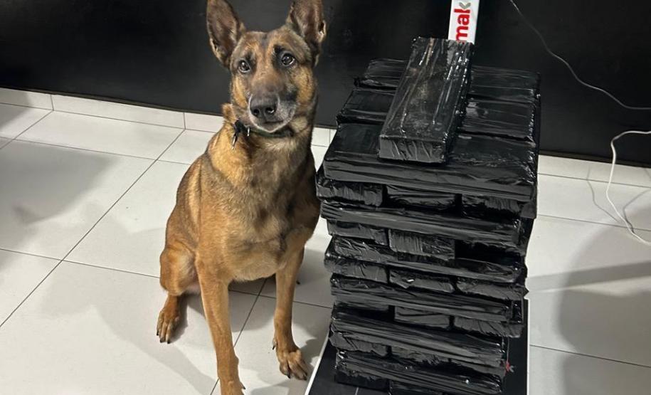 Batalhão de Polícia Rodoviária (BPRv), realizou grandes apreensões de drogas e mercadorias ilícitas por todo o estado do Paraná