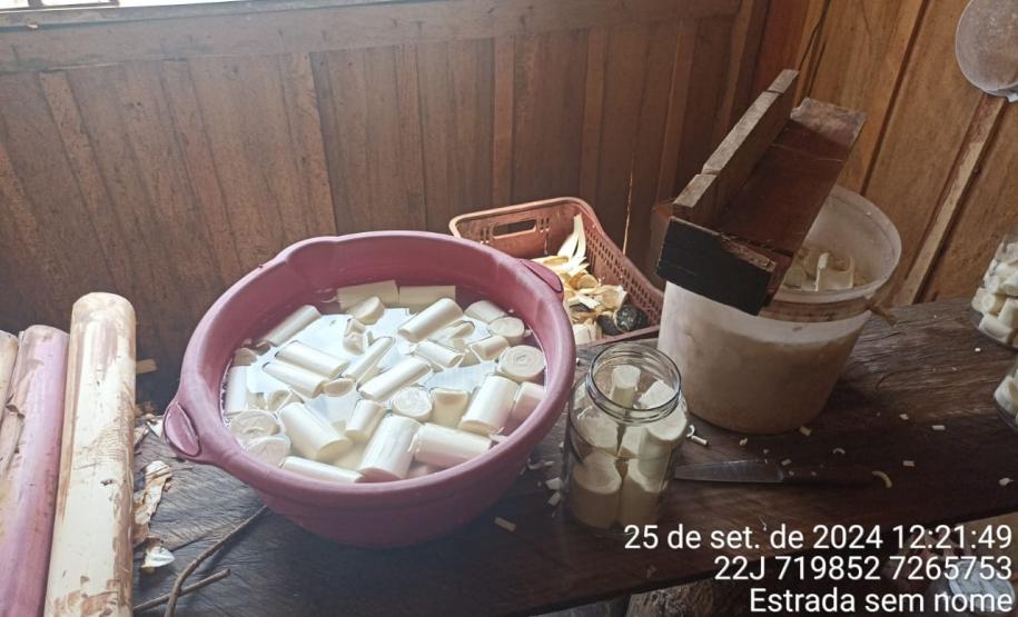 Apreensão de palmito em Adrianópolis