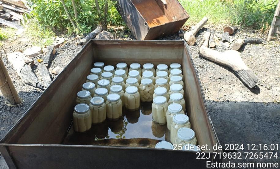 Apreensão de palmito em Adrianópolis