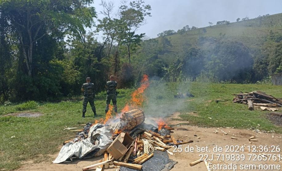 Apreensão de palmito em Adrianópolis