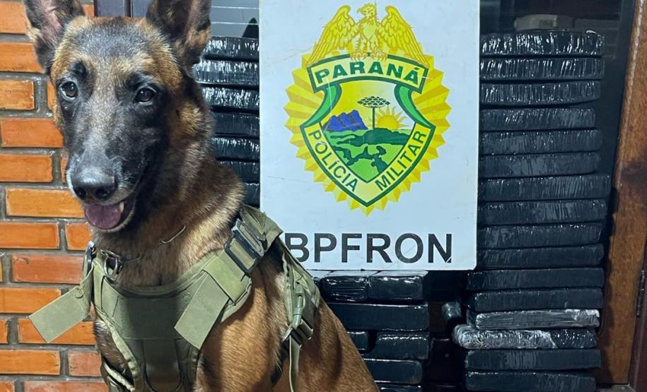 PMPR prende jovem de 18 anos, encontrada com mais de quarenta quilos de maconha, em ônibus de viagem na região oeste